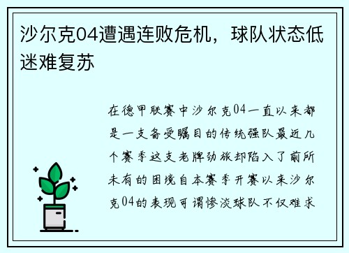 沙尔克04遭遇连败危机，球队状态低迷难复苏